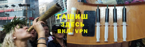 гидра Богданович