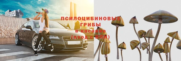 гидра Богданович