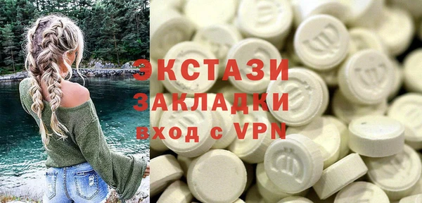 гидра Богданович