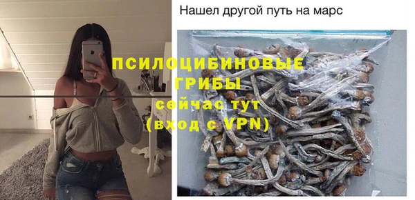 прущий лед Богородицк