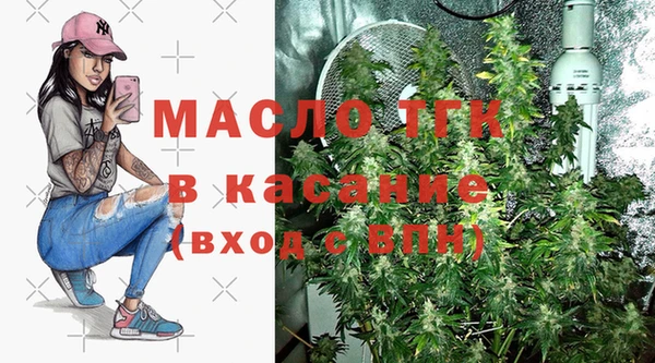 гидра Богданович