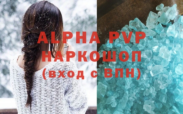 гидра Богданович