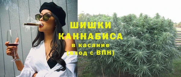 прущий лед Богородицк